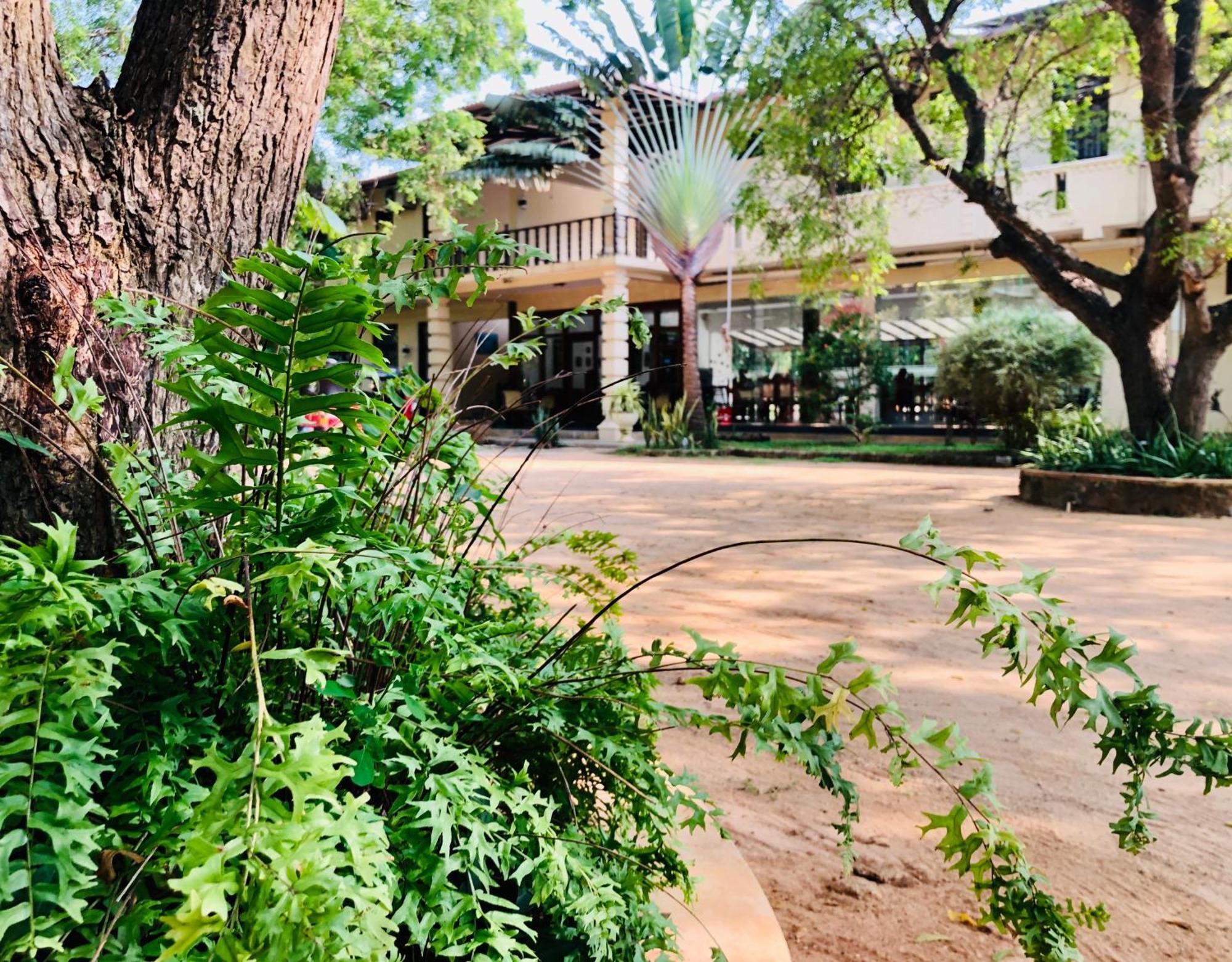 Saman Resort Yala Tissamaharama Esterno foto