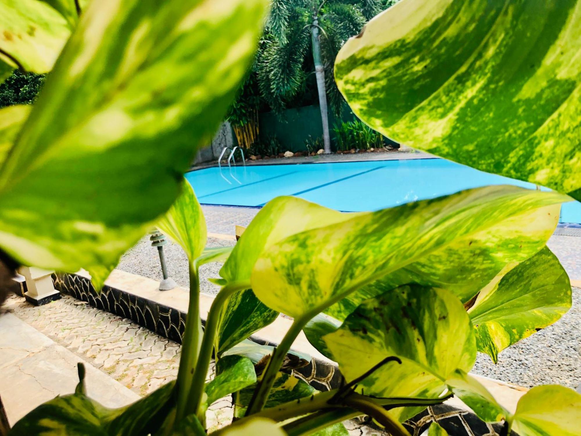 Saman Resort Yala Tissamaharama Esterno foto