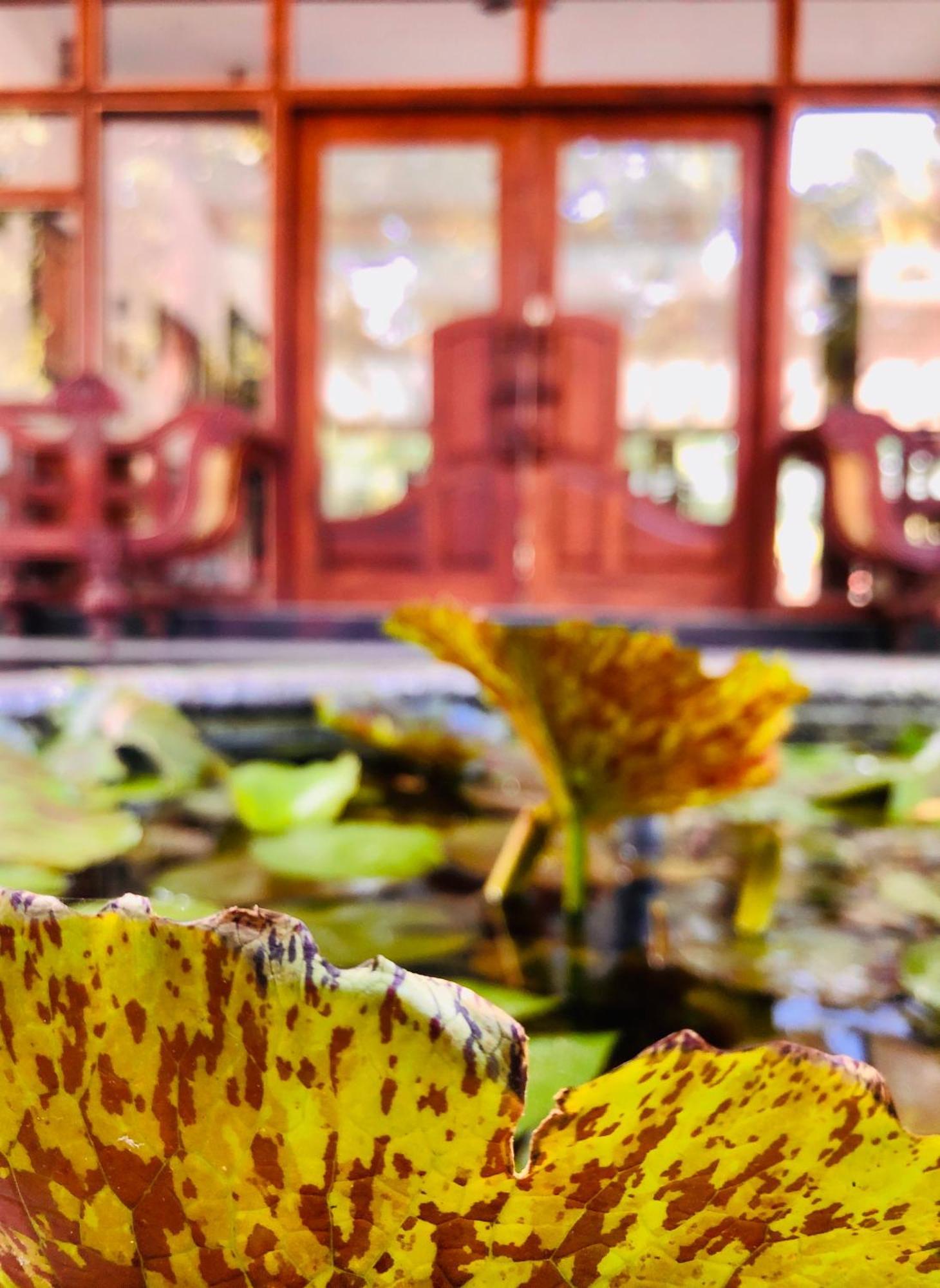 Saman Resort Yala Tissamaharama Esterno foto