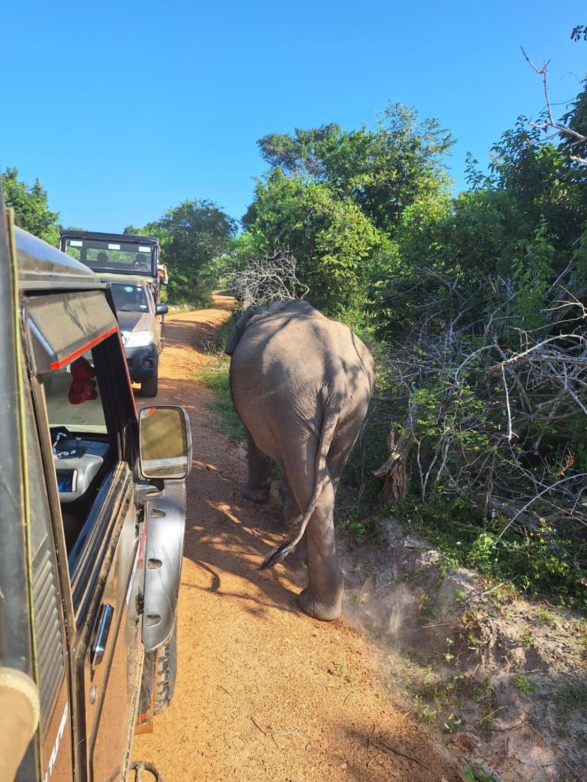 Saman Resort Yala Tissamaharama Esterno foto