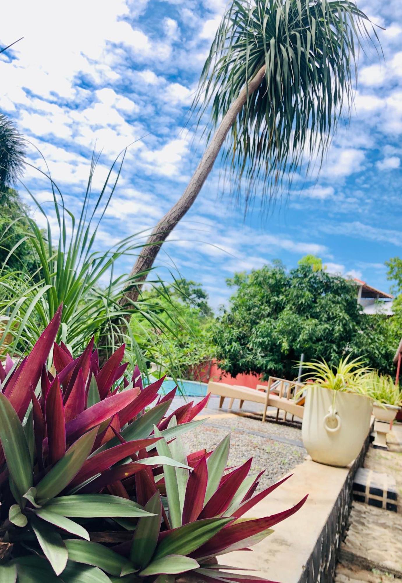 Saman Resort Yala Tissamaharama Esterno foto